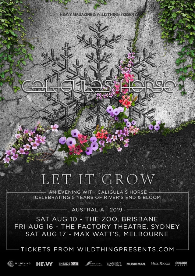 8dwe Pz4g P Wvp Skb0